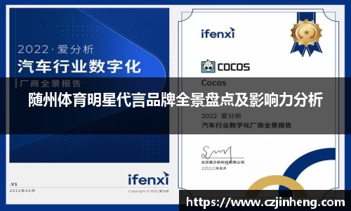 乐盈VI