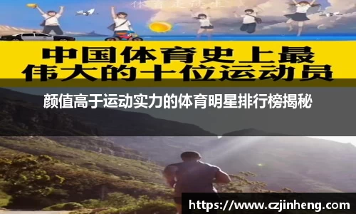 乐盈VI官网登录入口