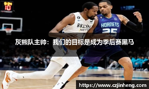 乐盈VI官网