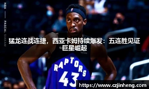 乐盈VI官网登录入口