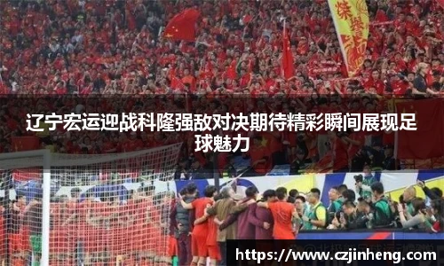 乐盈VI官网